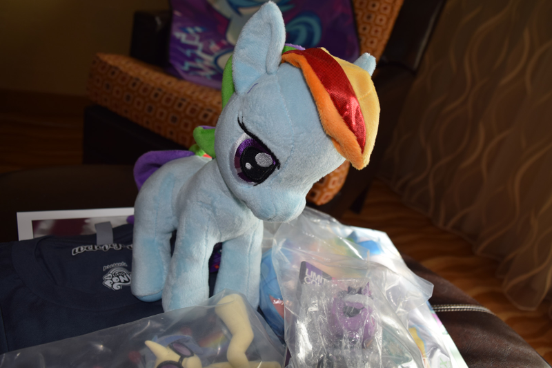 Illustration for article titled What I Bought At BronyCon